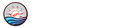 New Era Public School